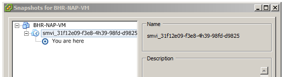 Cleaning_up_NetApp_SMVI_snapshots_in_VMware_vSphere_1